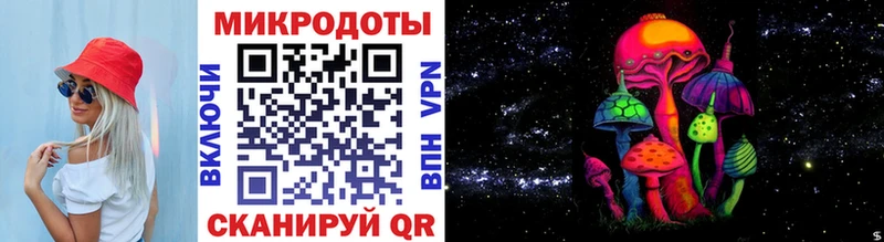 mega   Качканар  Псилоцибиновые грибы Psilocybe 