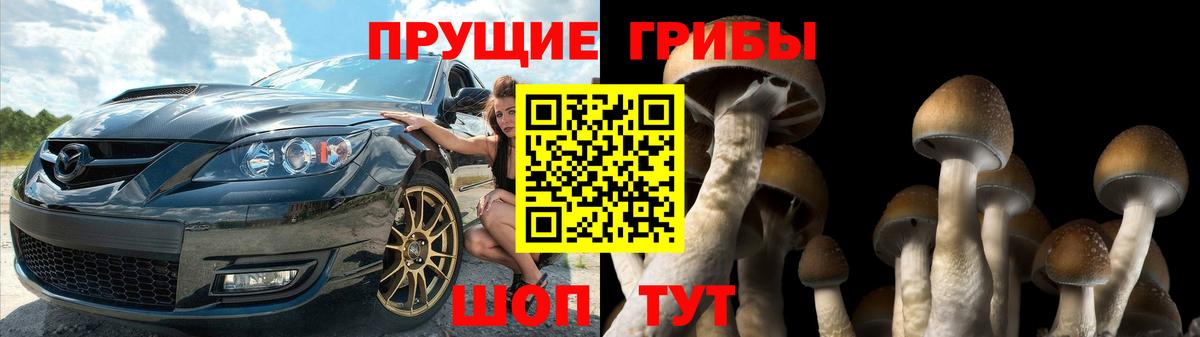 Псилоцибиновые грибы мицелий Качканар