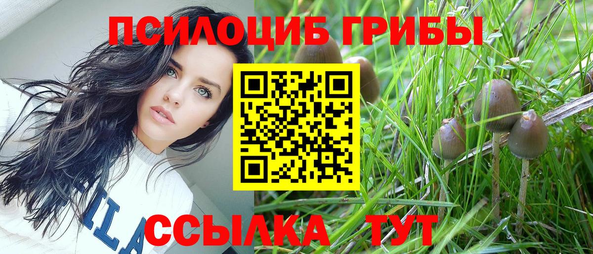 Качканар  Псилоцибиновые грибы мухоморы  Галлюциногенные грибы мухоморы  Вход с VPN 