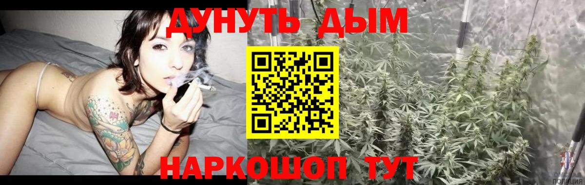 Конопля планчик  Качканар  Каннабис конопля  Канабис Bruce Banner  Каннабис THC 21% 